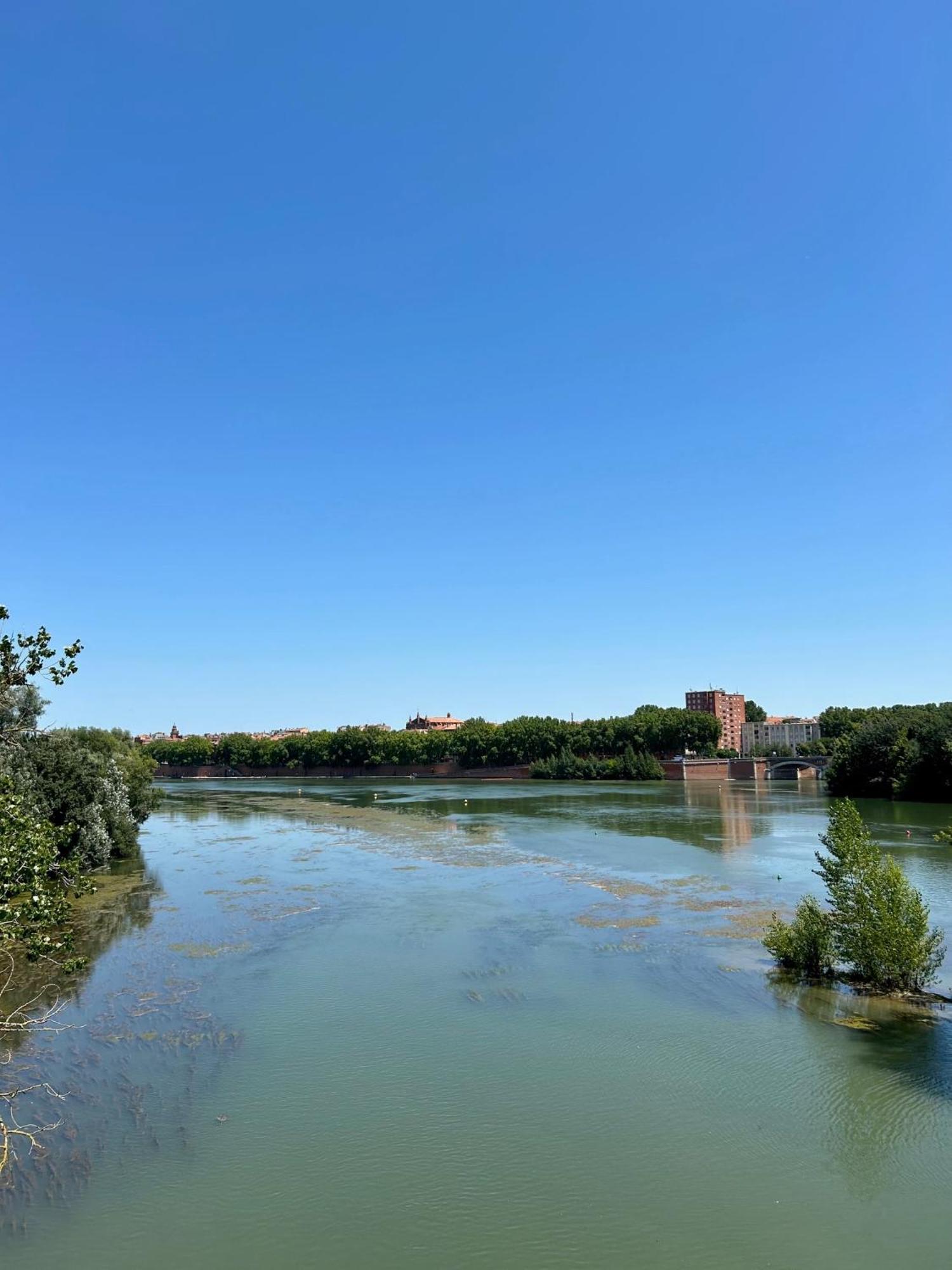 Loft Garonne - Centre Ville Immeuble Privatif Toulouse Dış mekan fotoğraf